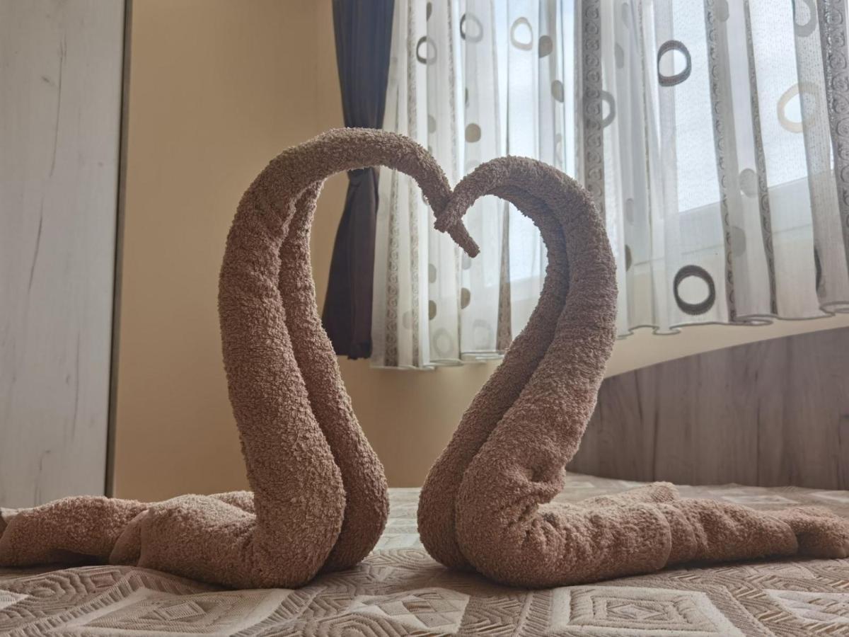 Апартамент Дани Apartament Dani カザンラク エクステリア 写真